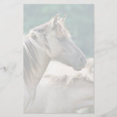 オーストラリア産のブルームビー馬の群れ 便箋