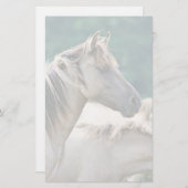 オーストラリア産のブルームビー馬の群れ 便箋 (正面/裏面)