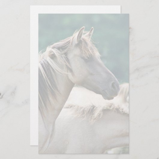 オーストラリア産のブルームビー馬の群れ 便箋