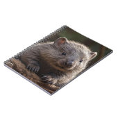 オーストラリア産のベビーアニマルのウォンバット ノートブック (左側)