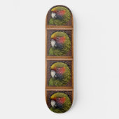 オーストラリア産の緑のロリケート・パロット スケートボード (正面)