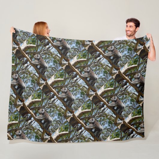 オーストラリア産の野生のコアラがゴムの木に生えている。 フリースブランケット (インサイチュ)