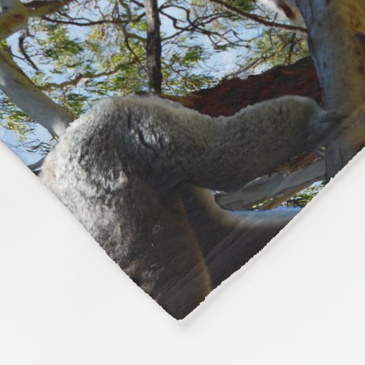 オーストラリア産の野生のコアラがゴムの木に生えている。 フリースブランケット (角)