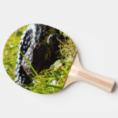 オーストラリア産の青い舌を持つトカゲ 卓球ラケット (横)