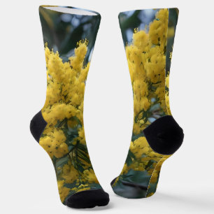 オーストラリア産の黄色いガラガラの木 ソックス