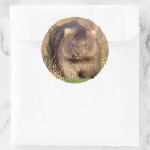 オーストラリア産ウォンバット ラウンドシール (バッグ)