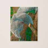 オーストラリア産コアラス ジグソーパズル (縦)