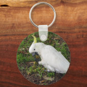 オーストラリア産コカトゥー キーホルダー (正面)