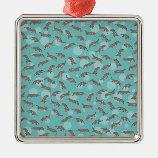 オーストラリア産プラチプス メタルオーナメント (正面)