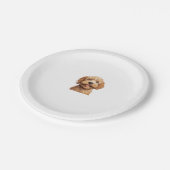 オーストラリア産ラブラドール ペーパープレート (アングル)