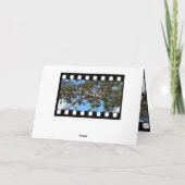 オーストラリア白コカトス、誕生日カード、 シーズンカード (裏面)