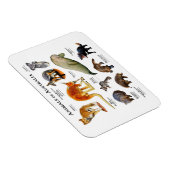 オーストラリア磁石の動物 マグネット (右側)