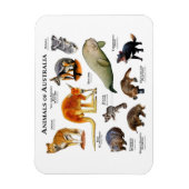 オーストラリア磁石の動物 マグネット (縦)