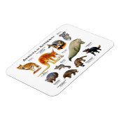 オーストラリア磁石の動物 マグネット (左側)