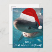 オーストラリア素晴らしに白いクリスマスおもしろいサメがいる ポストカード (正面/裏面)