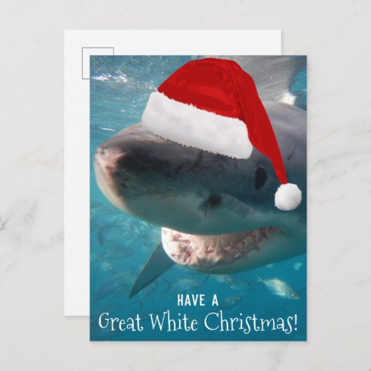 オーストラリア素晴らしに白いクリスマスおもしろいサメがいる ポストカード (正面/裏面)
