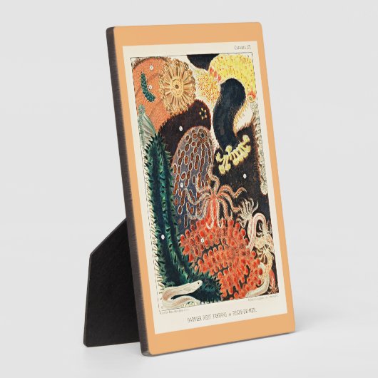 オーストラリア素晴らしのバリアリーフ、トレパン、 フォトプラーク (側面)