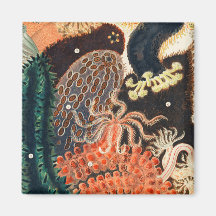 オーストラリア素晴らしのバリアリーフ