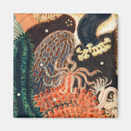 オーストラリア素晴らしのバリアリーフ マグネット