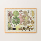 オーストラリア素晴らしアネモネスのバリアリーフ ジグソーパズル (横)