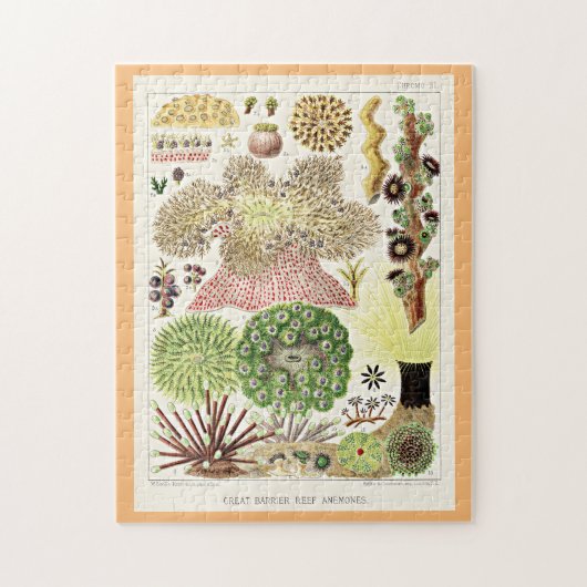 オーストラリア素晴らしアネモネスのバリアリーフ ジグソーパズル (縦)