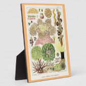 オーストラリア素晴らしアネモネスのバリアリーフ フォトプラーク (側面)