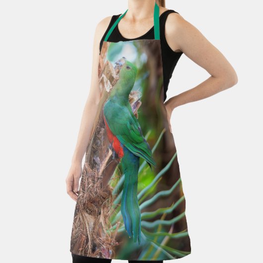 オーストラリア素晴らしキングパロット登山アツリー エプロン (インサイチュ)