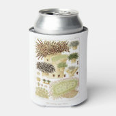 オーストラリア素晴らしサンゴのバリアリーフ 缶クーラー (缶正面)