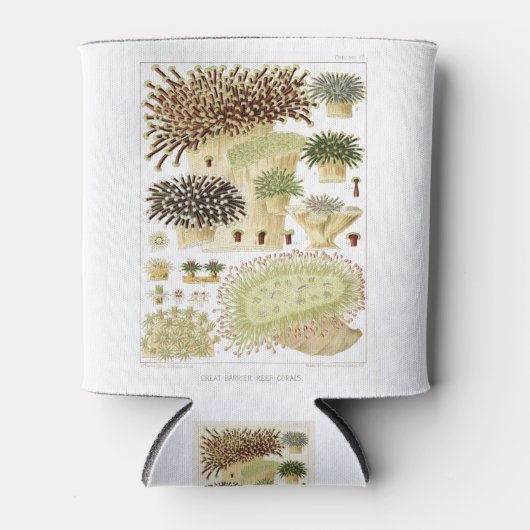 オーストラリア素晴らしサンゴのバリアリーフ 缶クーラー (正面)