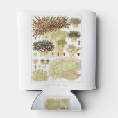 オーストラリア素晴らしサンゴのバリアリーフ 缶クーラー (裏面)