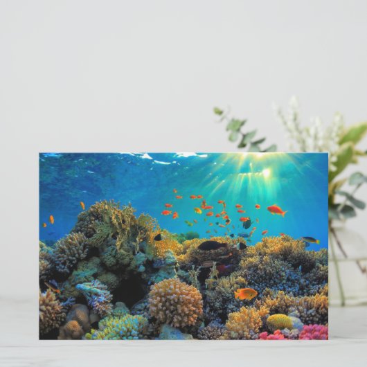 オーストラリア素晴らしバリアリーフスタイル紙シート (スタンド正面)