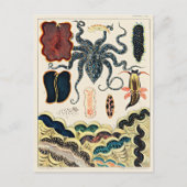 オーストラリア素晴らしバリアリーフ ポストカード (正面)