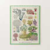 オーストラリア素晴らし・アルシオナリアのバリアリーフ ジグソーパズル (縦)