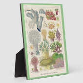 オーストラリア素晴らし・アルシオナリアのバリアリーフ フォトプラーク (側面)