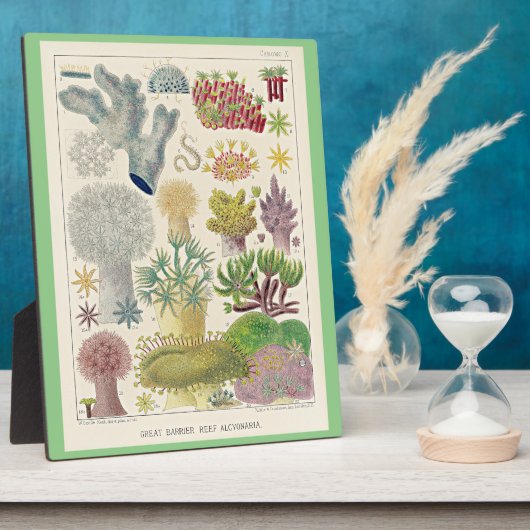 オーストラリア素晴らし・アルシオナリアのバリアリーフ フォトプラーク (側面)