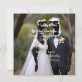 オーストラリア結婚のエマス結婚は シーズンカード (正面)