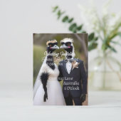 オーストラリア結婚のエマス結婚は ポストカード (スタンド正面)