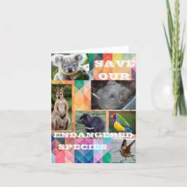 オーストラリア絶滅危惧種 サンキューカード