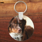 オーストラリア羊飼いキーチェーン キーホルダー (正面)