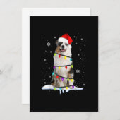 オーストラリア羊飼いクリスマスツリーライトオーストラリアXm 招待状 (正面/裏面)