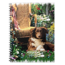 オーストラリア羊飼いドッグアート ノートブック