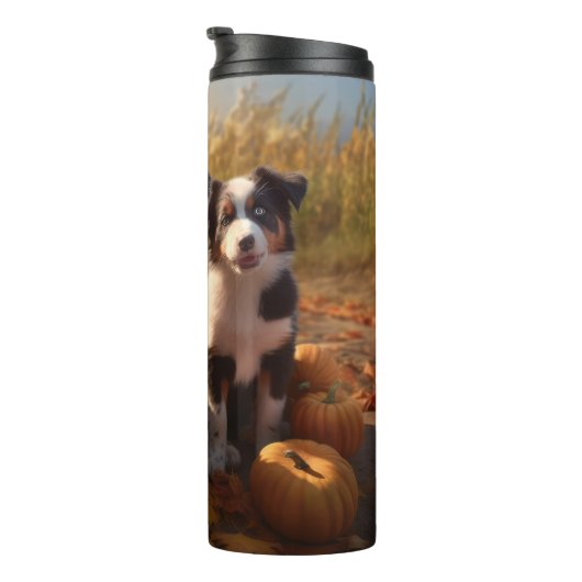 オーストラリア羊飼い子犬オータムデライトカボチャ タンブラー (回転右)