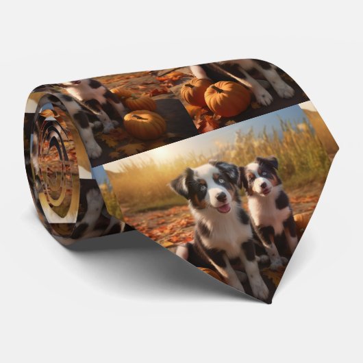 オーストラリア羊飼い子犬オータムデライトカボチャ ネクタイ (ロール)