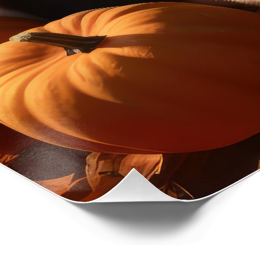 オーストラリア羊飼い子犬オータムデライトカボチャ ポスター (コーナー)