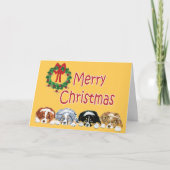 オーストラリア羊飼い子犬クリスマスカード シーズンカード (正面)