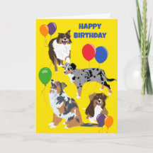 オーストラリア羊飼い犬と風船誕生日