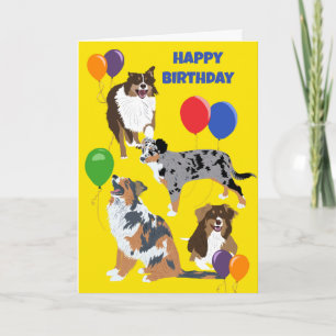 オーストラリア羊飼い犬と風船誕生日 カード