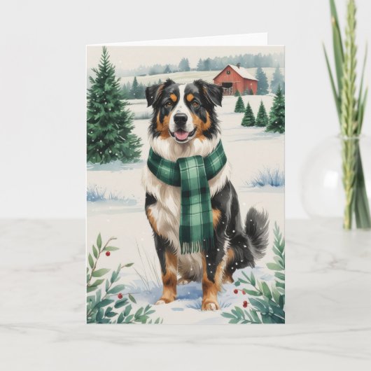 オーストラリア羊飼い犬のクリスマスグリーティング カード (正面)