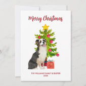 オーストラリア羊飼い犬のクリスマス シーズンカード (正面)