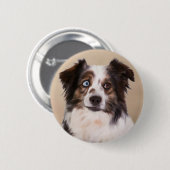 オーストラリア羊飼い犬の油絵芸術 缶バッジ (正面&裏面)